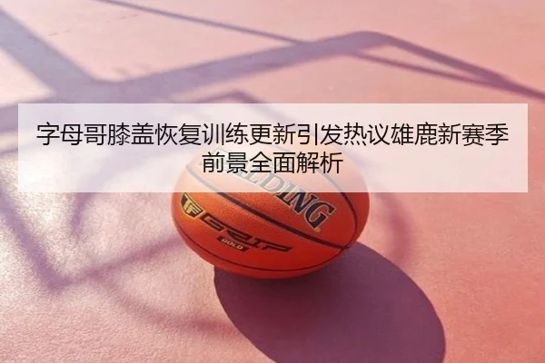 字母哥膝盖恢复训练更新引发热议雄鹿新赛季前景全面解析