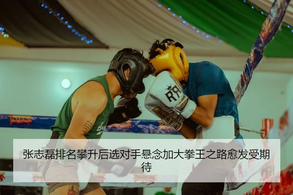 张志磊排名攀升后选对手悬念加大拳王之路愈发受期待